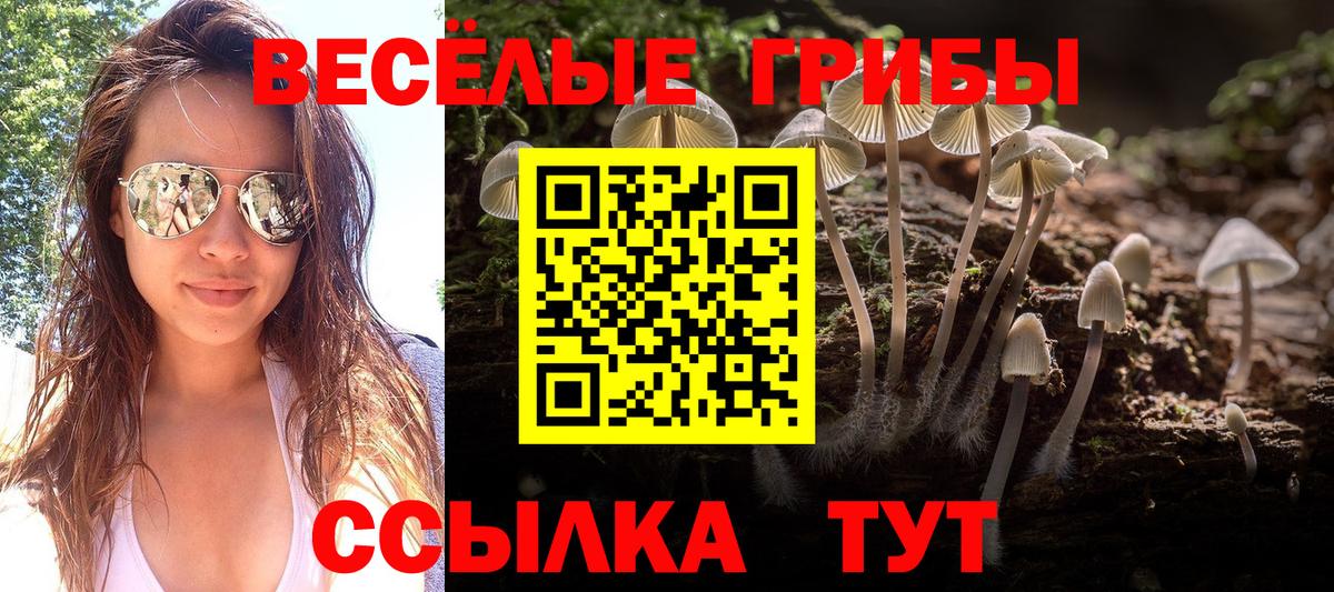 Псилоцибиновые грибы Magic Shrooms Ялуторовск