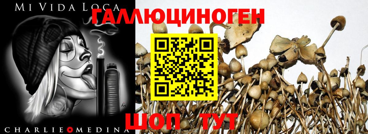 Псилоцибиновые грибы MAGIC MUSHROOMS  Вход с VPN  как найти закладки  Ялуторовск  Галлюциногенные грибы Cubensis 